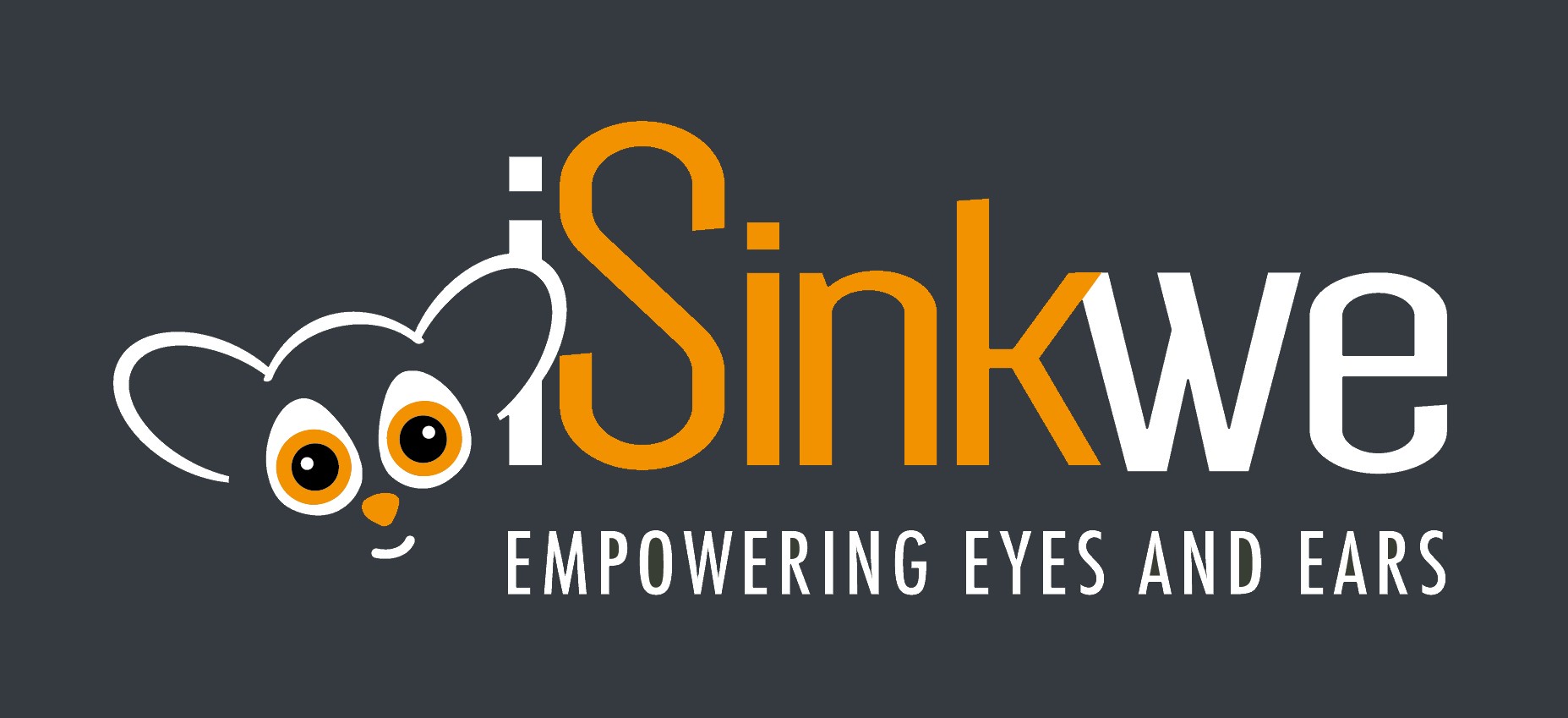 iSinkwe - empowering eyes and ears